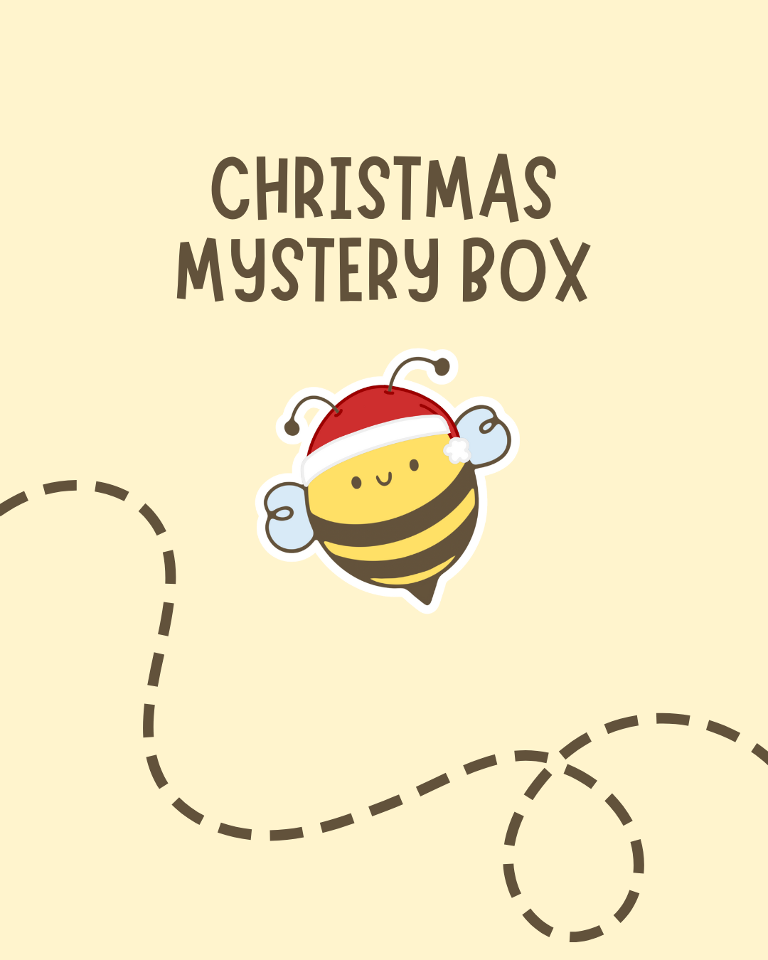 Christmas Mystery Box