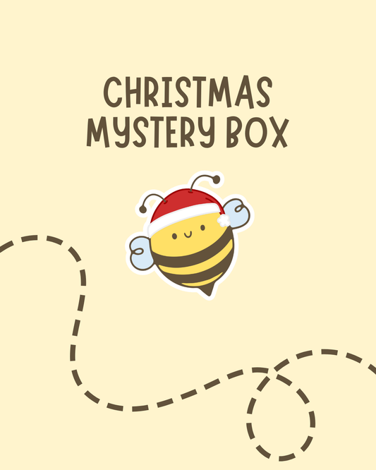 Christmas Mystery Box